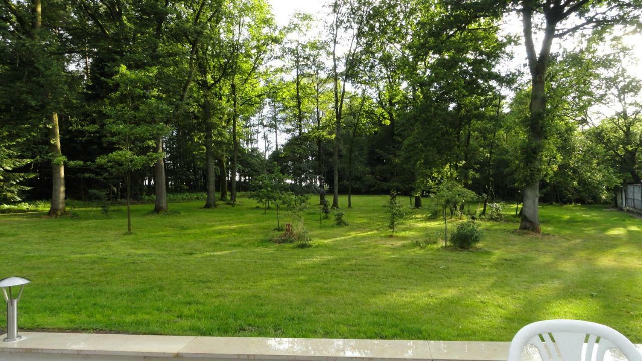 Ferienwohnung Huus Ton Witten Barg Undeloh Exteriér fotografie